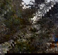 kunanyi / Mt. Wellington Guided Hiking Tour - Hotel Accommodation