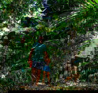 Full Day Daintree Rainforest and Mossman Gorge Tour - Hotel Accommodation