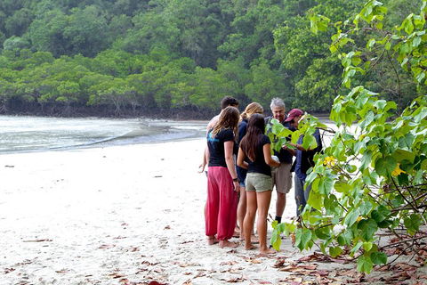Full Day Daintree Rainforest And Mossman Gorge Tour - Hotel Accommodation 2