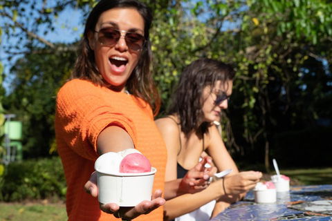 Full Day Daintree Rainforest And Mossman Gorge Tour - Hotel Accommodation 3