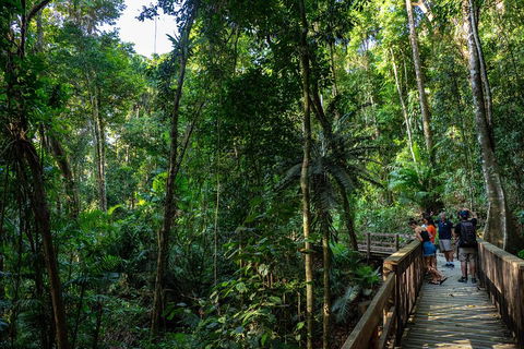 Full Day Daintree Rainforest And Mossman Gorge Tour - Hotel Accommodation 5