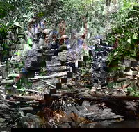 Cairns ATV Adventure Tour and Morning Skyrail - Hotel Accommodation
