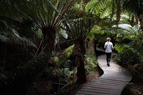 Private Tour Of Melbourne - Hotel Accommodation 2