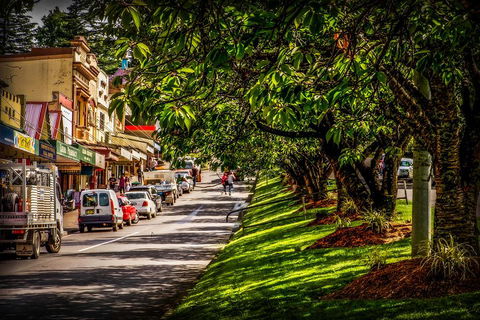 Fully Inclusive Blue Mountains Private Tour Inc Scenic World & Featherdale Entry - Hotel Accommodation 0