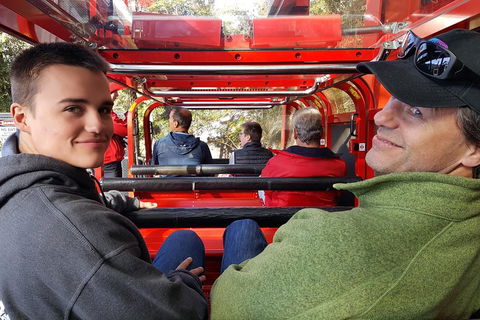 Fully Inclusive Blue Mountains Private Tour Inc Scenic World & Featherdale Entry - Hotel Accommodation 1