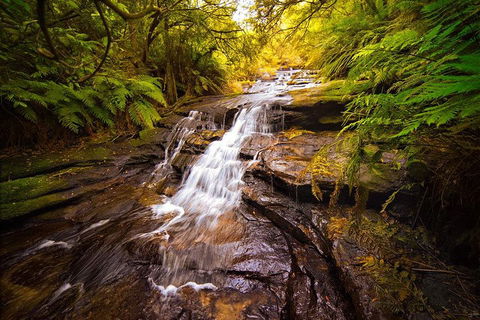 Fully Inclusive Blue Mountains Private Tour Inc Scenic World & Featherdale Entry - Hotel Accommodation 3