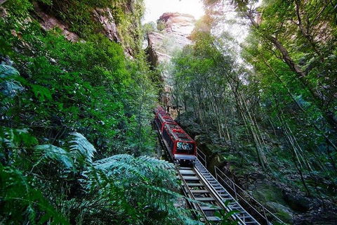Fully Inclusive Blue Mountains Private Tour Inc Scenic World & Featherdale Entry - Hotel Accommodation 4