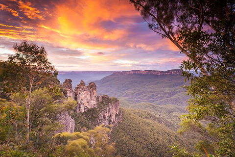 Fully Inclusive Blue Mountains Private Tour Inc Scenic World & Featherdale Entry - Hotel Accommodation 5