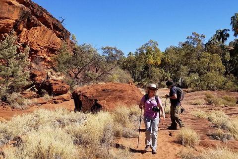 Palm Valley And Hermannsburg 1 Day 4WD Tour - Hotel Accommodation 1