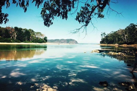 Full-Day Guided Bruny Island Tour From Hobart - Hotel Accommodation 1