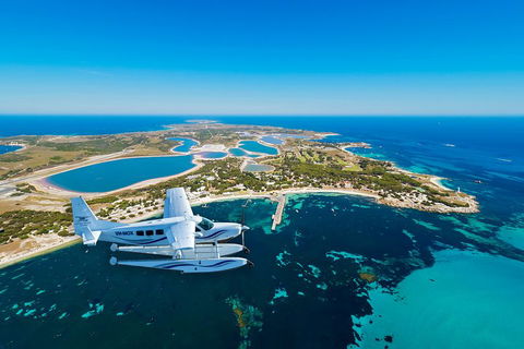 Full Day Tour By Seaplane To Rottnest Island Small Group Trip - Hotel Accommodation 1