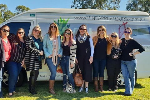 Full Day Mount Tamborine Winery Tour From Gold Coast - Hotel Accommodation 0