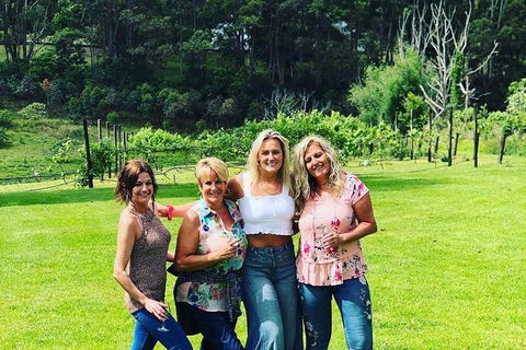 Full Day Mount Tamborine Winery Tour From Gold Coast - Hotel Accommodation 1