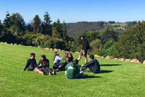 Mt Tamborine - Hinterland Wonders Self Guided - Hotel Accommodation 1