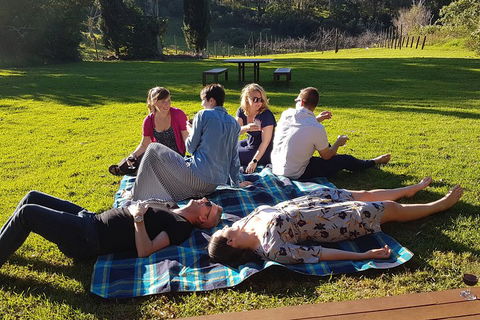 Mt Tamborine - Hinterland Wonders Self Guided - Hotel Accommodation 2