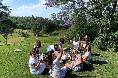 Mt Tamborine - Hinterland Wonders Self Guided - Hotel Accommodation 5