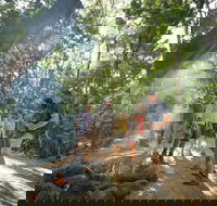 Mossman Gorge Adventure Day - Hotel Accommodation