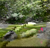 Daintree Dreaming Traditional Aboriginal Fishing from Cairns or Port Douglas - Hotel Accommodation