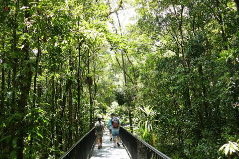 Daintree Dreaming Traditional Aboriginal Fishing From Cairns Or Port Douglas - Hotel Accommodation 3