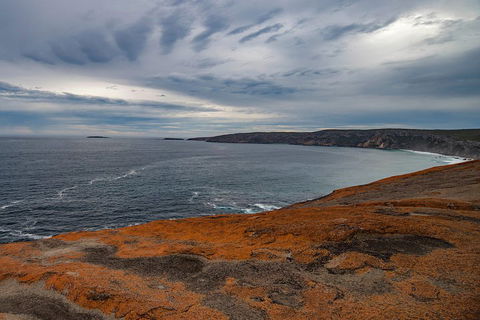 Kangaroo Island Luxury Small Group 'Flinders Chase Focus' Full Day Tour - Hotel Accommodation 0