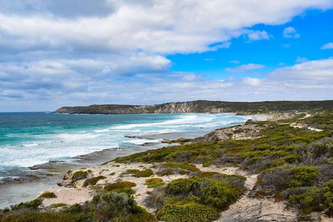 Kangaroo Island Luxury Small Group 'East End Explorer' Full Day Tour - Hotel Accommodation 0