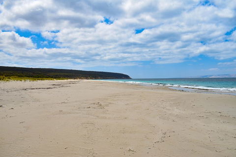 Kangaroo Island Luxury Small Group 'East End Explorer' Full Day Tour - Hotel Accommodation 3