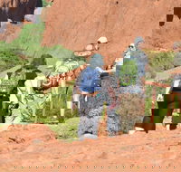 Afternoon Kata Tjuta Small Group Tour - Hotel Accommodation