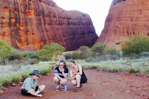 Afternoon Kata Tjuta Small Group Tour - Hotel Accommodation 2