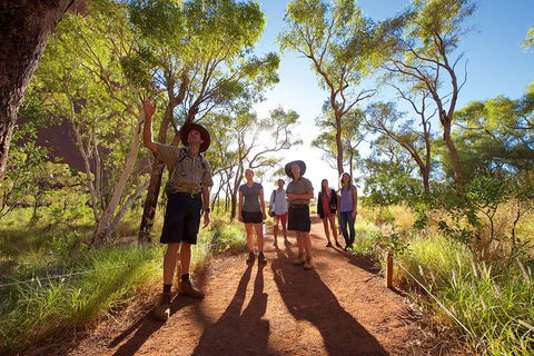 Uluru Small Group Tour Including Sunset - Hotel Accommodation 0
