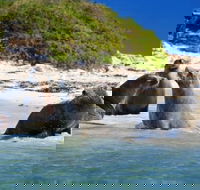 Dolphin Penguin and Sea Lion Cruise - Hotel Accommodation