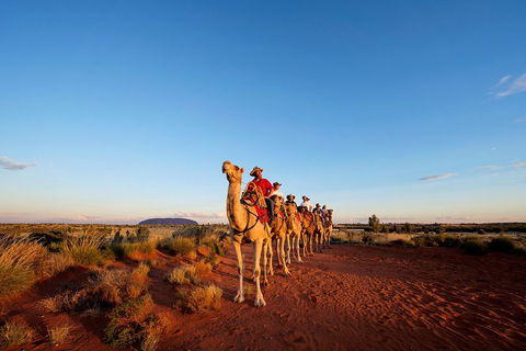 Uluru Small-Group Tour By Camel At Sunrise Or Sunset - Hotel Accommodation 3