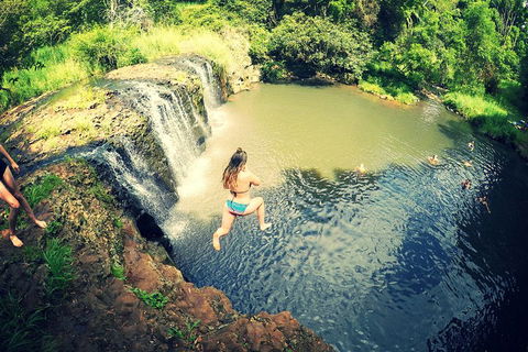 Byron Surrounds: Nimbin Waterfall Adventure - Swimming Tour - Hotel Accommodation 3