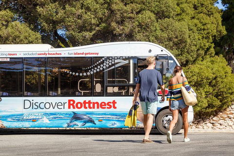 Discover Rottnest With Ferry & Bus Tour From Perth Or Fremantle - Hotel Accommodation 1