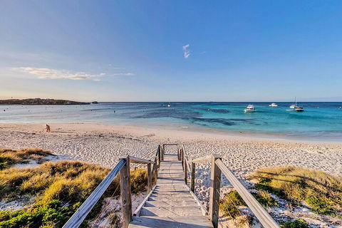 Discover Rottnest With Ferry & Bus Tour From Perth Or Fremantle - Hotel Accommodation 4