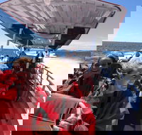 Adventure Rottnest Tour with Ferry  Adventure Cruise from Perth or Fremantle - Hotel Accommodation