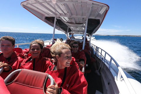 Adventure Rottnest Tour With Ferry & Adventure Cruise From Perth Or Fremantle - Hotel Accommodation 0