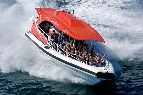 Adventure Rottnest Tour With Ferry & Adventure Cruise From Perth Or Fremantle - Hotel Accommodation 2