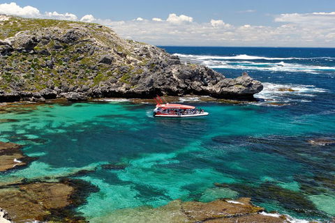 Adventure Rottnest Tour With Ferry & Adventure Cruise From Perth Or Fremantle - Hotel Accommodation 5