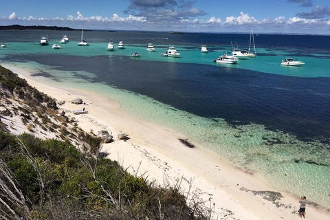 Experience Rottnest With Ferry & Bike Hire From Perth Or Fremantle - Hotel Accommodation 0