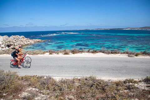 Experience Rottnest With Ferry & Bike Hire From Perth Or Fremantle - Hotel Accommodation 2
