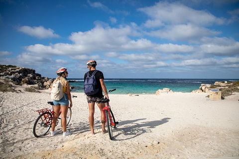 Experience Rottnest With Ferry & Bike Hire From Perth Or Fremantle - Hotel Accommodation 5