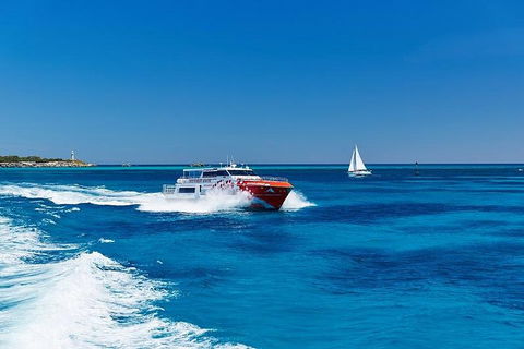 Rottnest Island Round-Trip Ferry From Perth Or Fremantle - Hotel Accommodation 4