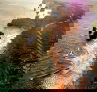 Full-Day Great Ocean Road and 12 Apostles Sunset Tour from Melbourne - Hotel Accommodation