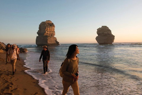 Full-Day Great Ocean Road And 12 Apostles Sunset Tour From Melbourne - Hotel Accommodation 4