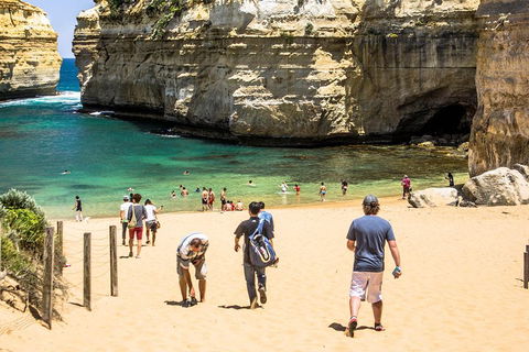 Small-Group Great Ocean Road Classic Day Tour From Melbourne - Hotel Accommodation 5