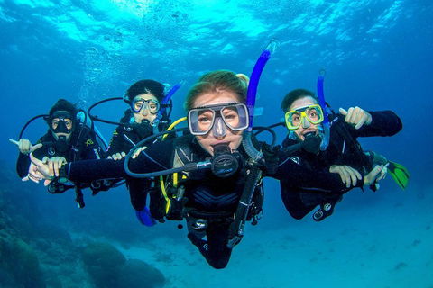 Great Barrier Reef Diving And Snorkeling Cruise From Cairns - Hotel Accommodation 0