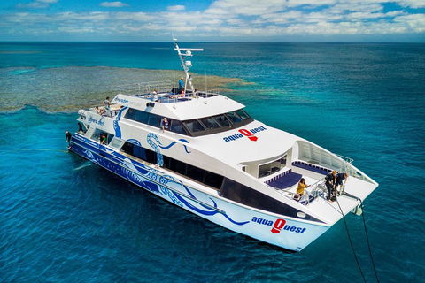 Great Barrier Reef Diving And Snorkeling Cruise From Cairns - Hotel Accommodation 5