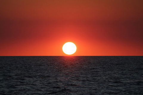 Roebuck Bay Snubfin Dolphin Cruise - Hotel Accommodation 3