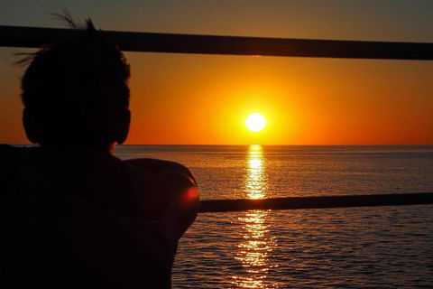 Roebuck Bay Snubfin Dolphin Cruise - Hotel Accommodation 4