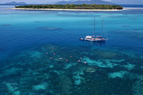 Ocean Free Green Island & Great Barrier Reef Snorkel Cruise, Cairns 25 Guests - Hotel Accommodation 2